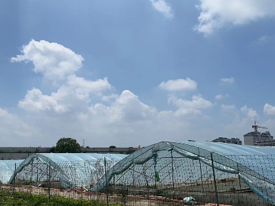 恩拓博高速增氧機(jī)上海使用案例！