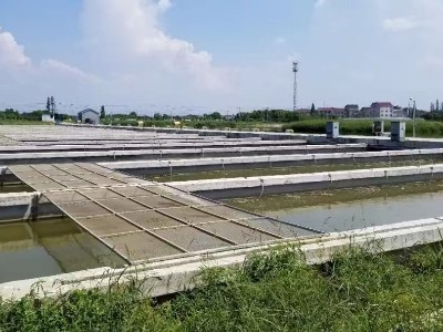 水產(chǎn)養(yǎng)殖專用空氣懸浮鼓風機